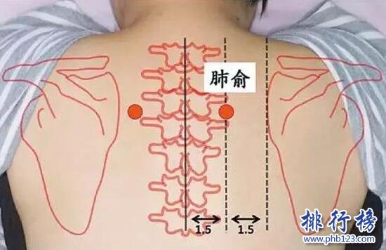 三伏贴贴在什么位置,三伏贴穴位详细图