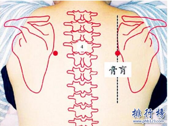 三伏贴贴在什么位置,三伏贴穴位详细图