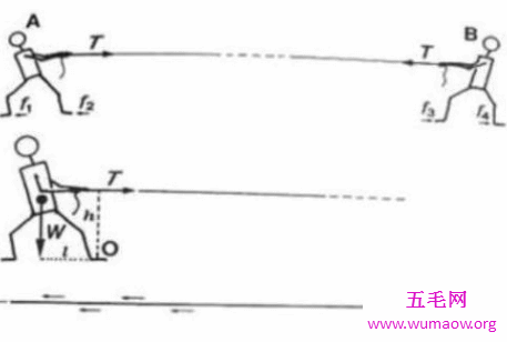 拔河这种力气活也是要靠拔河技巧取胜的