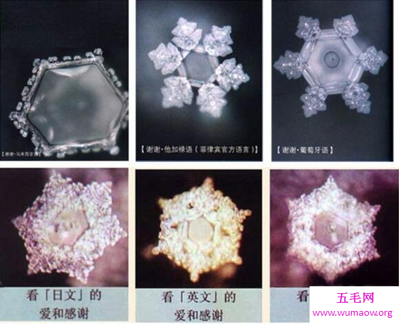 水知道答案是江本胜的伪科学，就是为了卖高能水赚钱