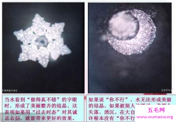 水知道答案是江本胜的伪科学，就是为了卖高能水赚钱