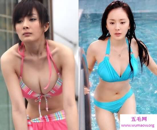 中国女明星十大美胸，柳岩借胸上位李小璐的胸犯规