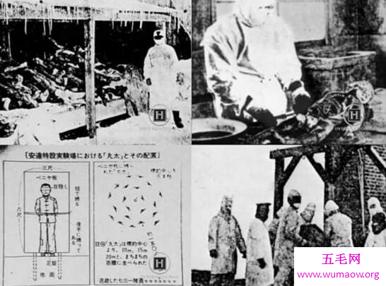 731部队女子配种实验全过程，毫无人性的女体实验