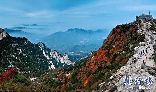 2017年7月泰安房价各区排行榜,泰山区房价上涨岱岳区房价上涨