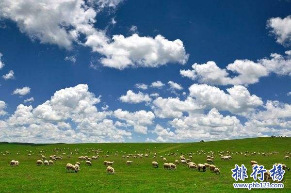 6月份适合去哪里旅游 十大6月国内旅游最佳去处