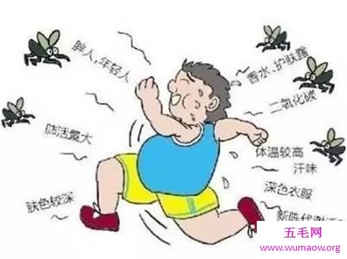 蚊子喜欢叮咬什么血型的人 蚊子为什么会叮咬人