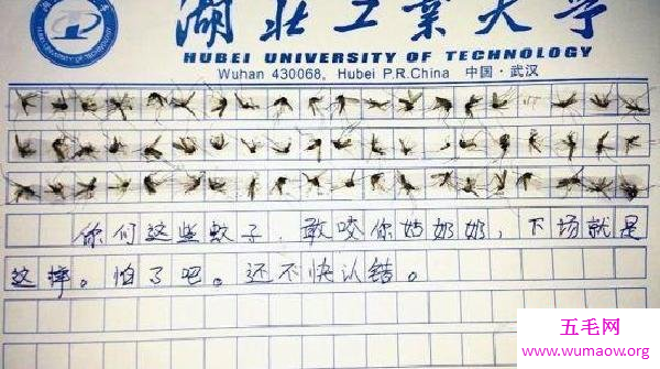 女子用60只蚊子写作文来泄愤，网友评论：大快人心