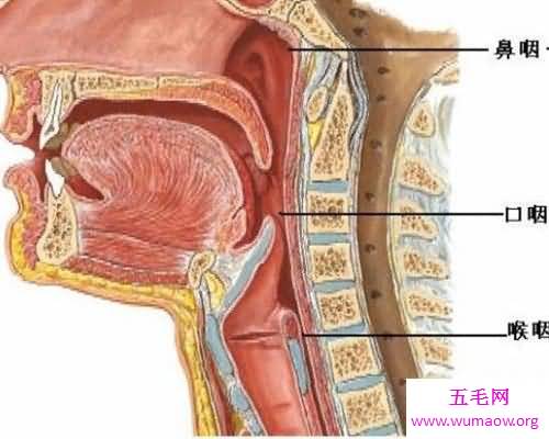 喉癌的早期症状有哪些？