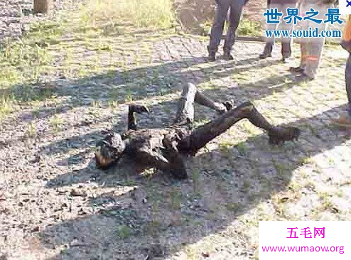 英国男子被雷劈死，瞬间变炭人(现场实图)
