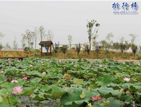  湖北十大名村：湖北各市最富裕的村