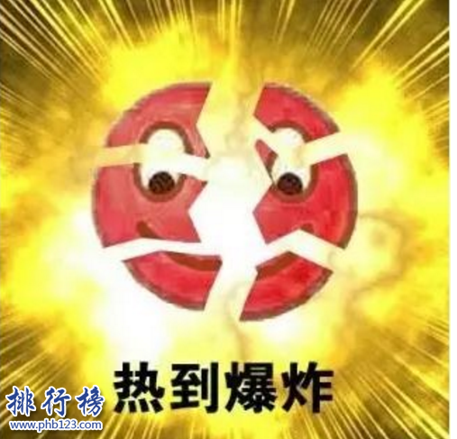 　　导语：2018年根据中国气象台发布的数据显示中国有10个城市夏天是超级炎热难忍的，分别是福州、重庆、杭州、南昌、武汉、西安、南京、合肥、南宁、长沙等那么排在最前面的几位是网友评选出来的中国新四大火炉，排行榜123网小编带你一起来了解一下。  　　中国四大火炉：福州、重庆、杭州、南昌  　　四、南昌  　　南昌西面有井冈山，东临武夷山，南挨南岭，夏天的时候高温持续升高，会出现闷热、无风、高温等现象，出门不做防护措施会晒伤，每到7月8月的时候极度难忍汗水直流，气温可达到35度以上到凌晨才会下降，中午12点到2点这个时间段的气温在40度左右，地表气温65度左右，即使在树下避暑也是汗如雨下，所以南昌也被称为中国四大火炉之一。  　　三、杭州  　　杭州的7月最高气温可达35度以上，火辣辣的太阳照得你汗如雨下，就像在锅炉旁边非常的闷热，有的网友调侃说热的蒸发、热成黑包碳让人十分的难受，夏天的时候大部分都是躲在室内吹空调的，出去会被晒伤的。  　　二、重庆  　　不管是网友评选的旧版四大火炉还是新版的四大火炉都少不了重庆，从1981年开始这里夏天的气温一直位居榜首，夏天基本都是持续35度以上的高温10几天让你没办法忍受，炎炎夏日出门就汗流浃背。  　　一、福州  　　福州中国高温的王者，超越了重庆，在中国四大火炉里面排名第一，夏天气温最低在37度左右，这30年来高温持续增多，是全国高温天数最多的城市，没有最热只有更热，出去逛一圈晒成黑包拯，汗流浃背根本没法在室外的。晚上不开空调没法入睡热醒。  　　结语：以上就是排行榜123网小编盘点的中国四大火炉，这些城市如果大家去过应该是比较清楚的，夏天非常的闷热气温都是在35度以上，没有空调那会难受死的。