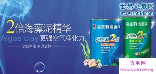 油漆十大品牌排行榜，健康好用质量佳