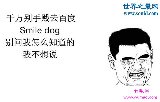 微笑狗，千万不要搜索smile.jpg(不然你会死的很惨)