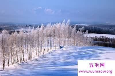 “我在北方的冬天里，大雪纷飞”冬天的图片