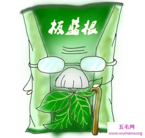 板蓝根的作用和功效，难受怎么办，多喝热水，不来点板蓝根