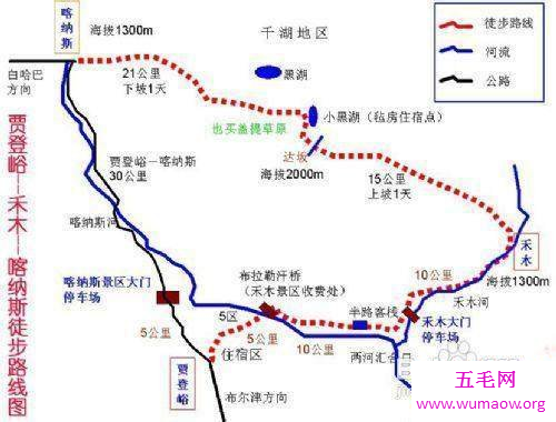 新疆喀纳斯湖水怪是否真的存在？或巨型哲罗鲑