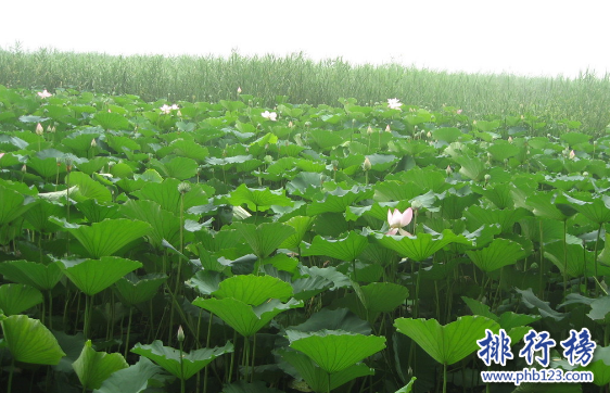 顺义有什么好玩的地方?顺义旅游必去景点排行榜