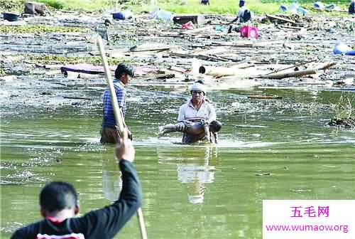 印尼海啸死了多少人 灾难过后海滩惊现无名巨怪