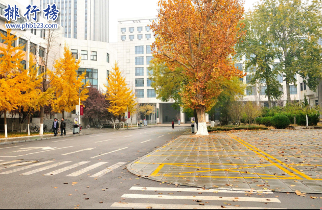 山东大学世界排名