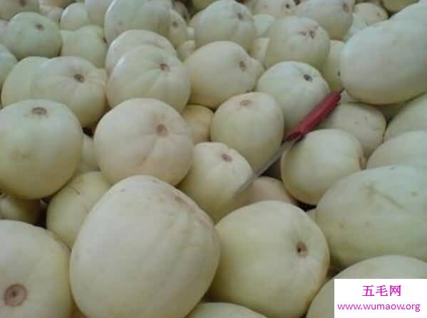 东南西瓜为什么没有北瓜，其实是西葫芦只是不能吃