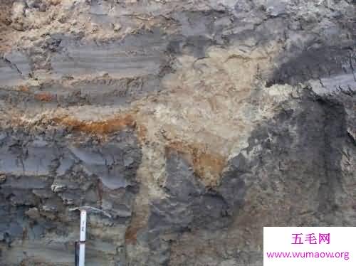 沈阳地震发生时你感受到了吗 赶紧看看地震的预防措施吧