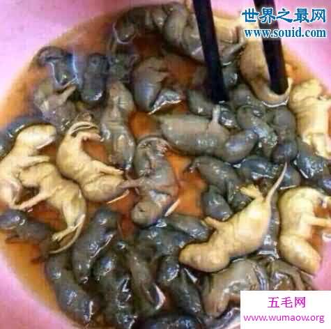 老鼠肉冒充羊肉，老鼠肉能不能吃(致人死亡)