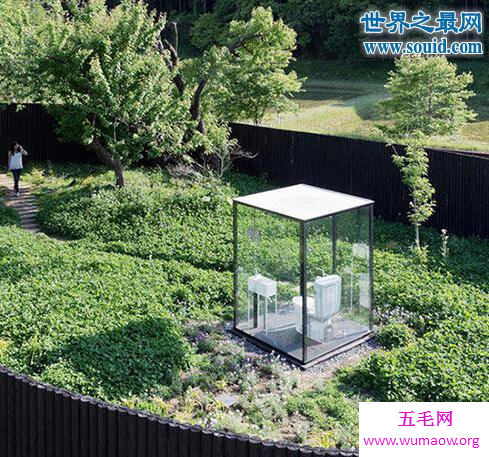 日本透明女厕，360度清晰可见女子如厕模样