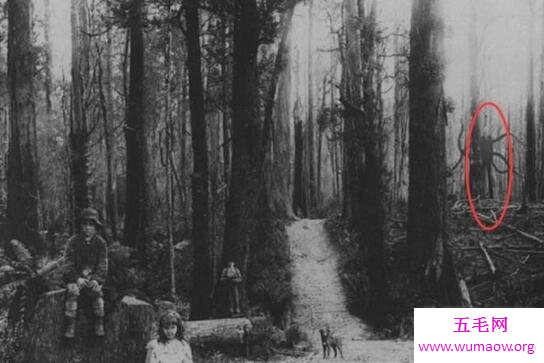 slender man瘦长鬼影，传说杀人无数的恐怖怪物