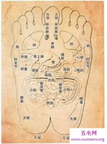 治病新技能，足部反射区治疗法