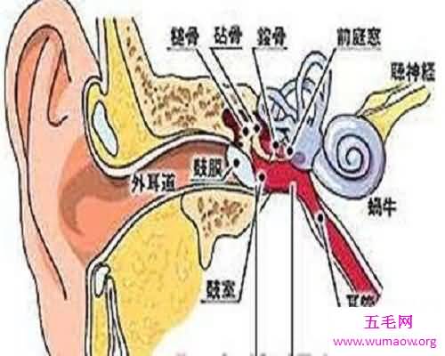 老年人普遍存在的听觉功能障碍——神经性耳鸣