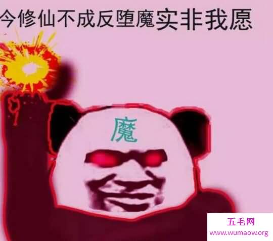 修仙是什么梗，5点还不睡你就能化神了