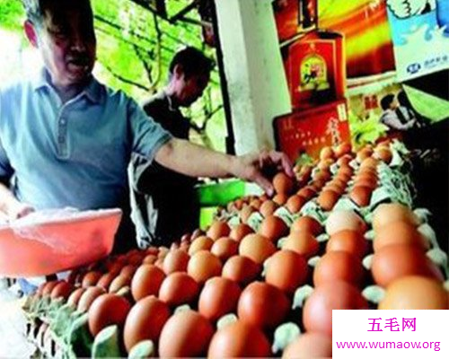 今日鸡蛋价格：行情全面分析