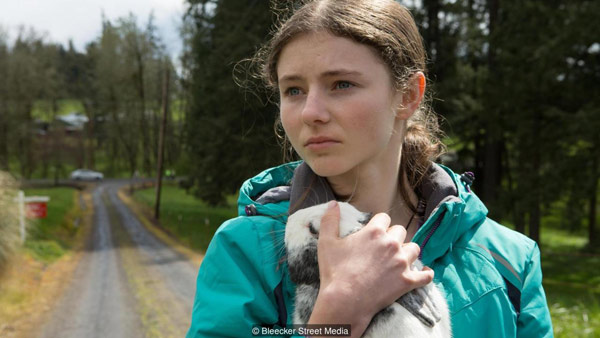 BBC推荐：6月必看的6部电影