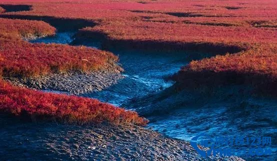 中国最美十大湿地排行榜 中国最好看的湿地有哪些