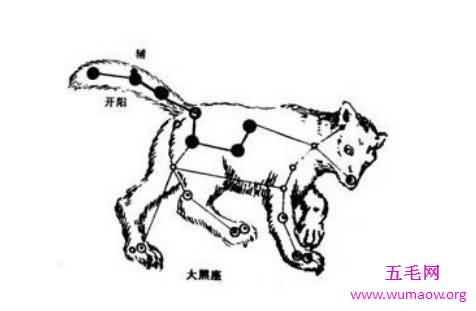 大熊座你知道什么样么天文爱好者一定要看