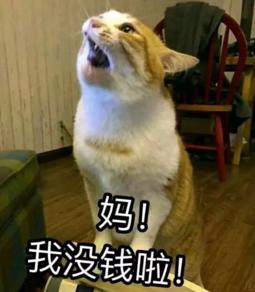 大学四年，我get了这些神技能