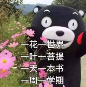 大学四年，我get了这些神技能