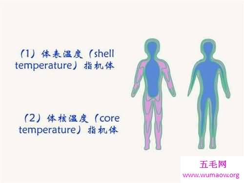 人体的正常温度是多少度 怎样正确测量小儿温度