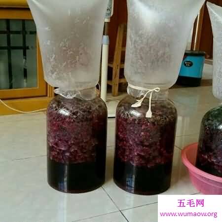 喜欢喝葡萄酒 但你会自酿葡萄酒吗 自酿的才好喝