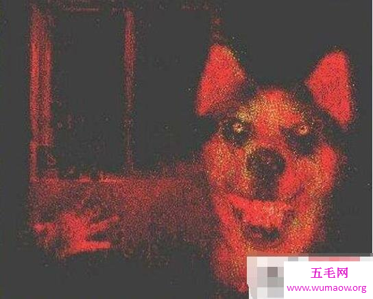 微笑狗smile dog恐怖原理，恐怖谷心理和恐怖故事