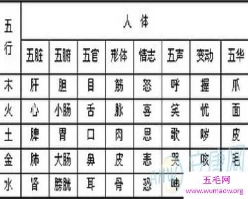 中国的智慧结晶——五行查询