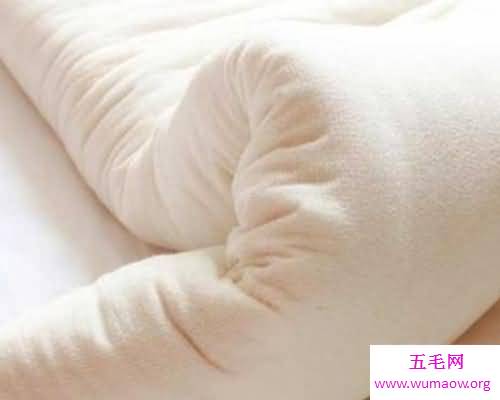 如果家里有褥虫怎么办？