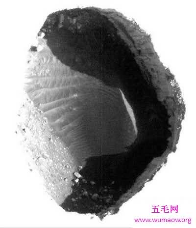 太空蛞蝓是什么东西 星球大战中影迷最感兴趣生物