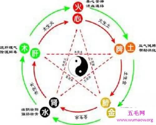 中国的智慧结晶——五行查询