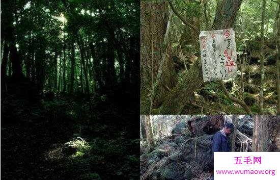 全世界最可怕的景点，日本自杀深林的尸骨堆积如山