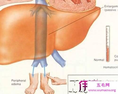 读万里书不如行万里路一起来探索脚底的秘密