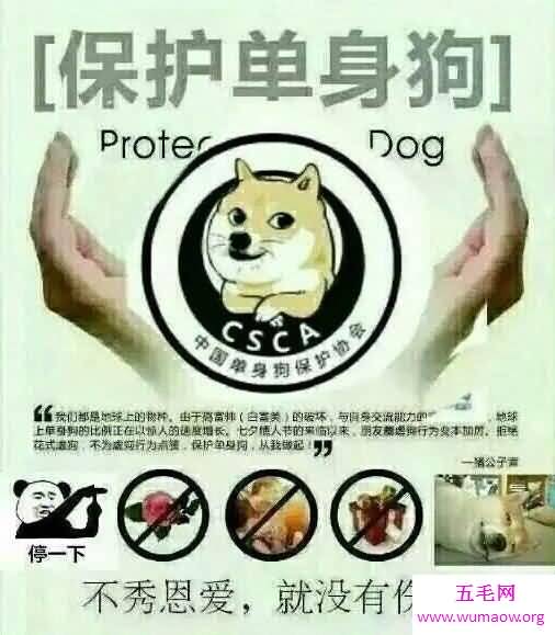 单身狗图片表情包盘点，别看了就你还是单身狗