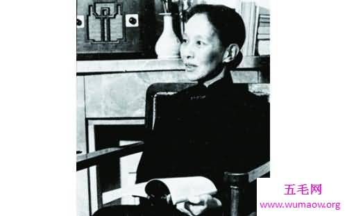 冰心的作品，冰心作品的赏析，冰心的早年经历和后来