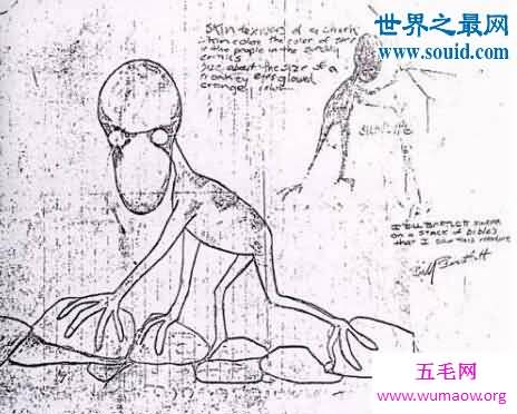 揭秘神秘生物多佛恶魔，可能是外星生物入侵