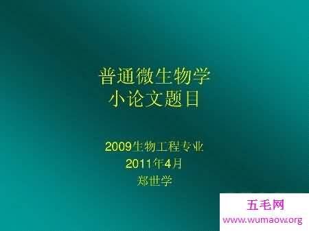 小论文怎么写  小论文格式是什么  我们应该注意什么